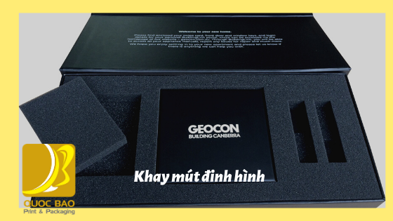 Khay hộp giấy cao cấp