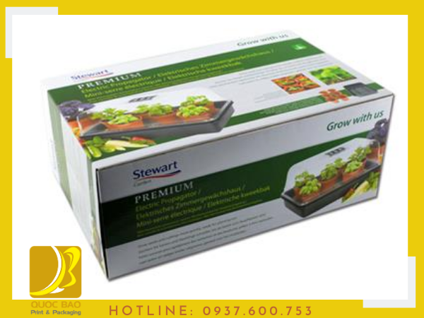 Hộp giấy carton