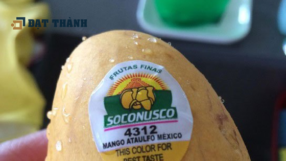 thiết kế bao bì