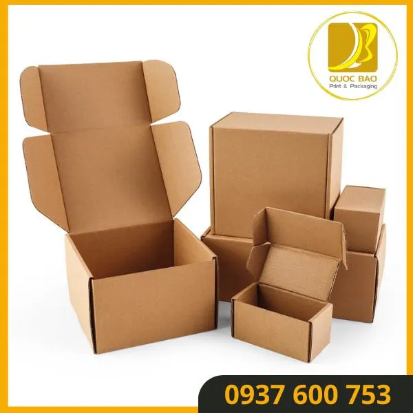 Tùy chỉnh thiết kế đặc biệt cho hộp giấy carton đóng hàng của bạn
