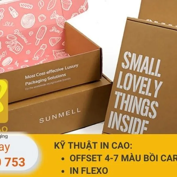 Giải Pháp Đóng Gói Tiết Kiệm Chi Phí - Hộp Carton Nắp Gài Quốc Bảo