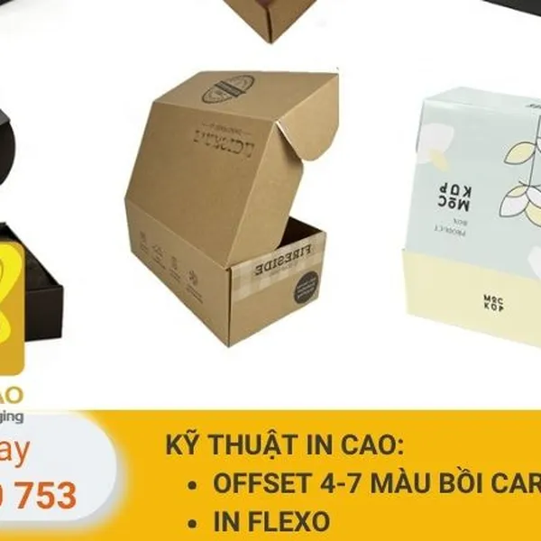 Giải Pháp Đóng Gói Tiết Kiệm Chi Phí - Hộp Carton Nắp Gài Quốc Bảo