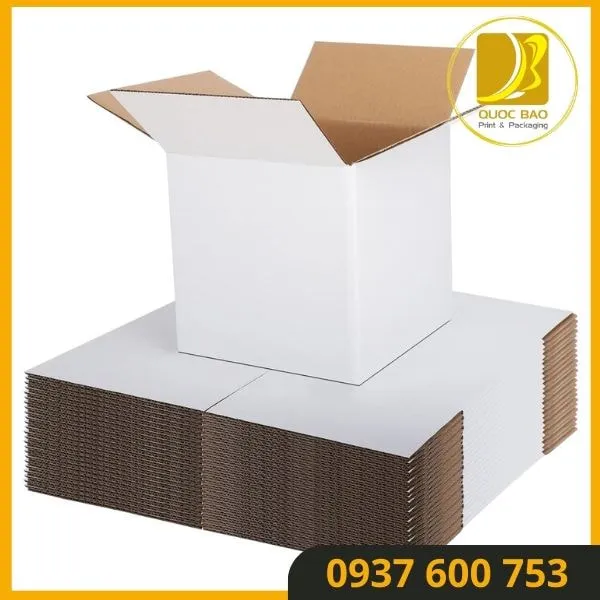 Giải Pháp Tiết Kiệm Chi Phí - Hộp Carton Nắp Gài Quốc Bảo
