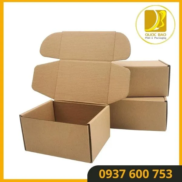 Hộp Carton Nắp Gài Quốc Bảo - Bảo Vệ Hàng Hóa Tối Ưu