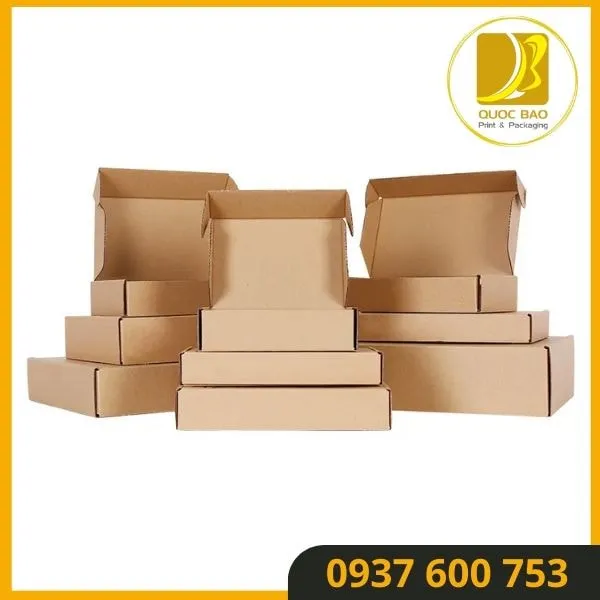 Thiết Kế Đặc Biệt - Hộp Carton Nắp Gài Quốc Bảo