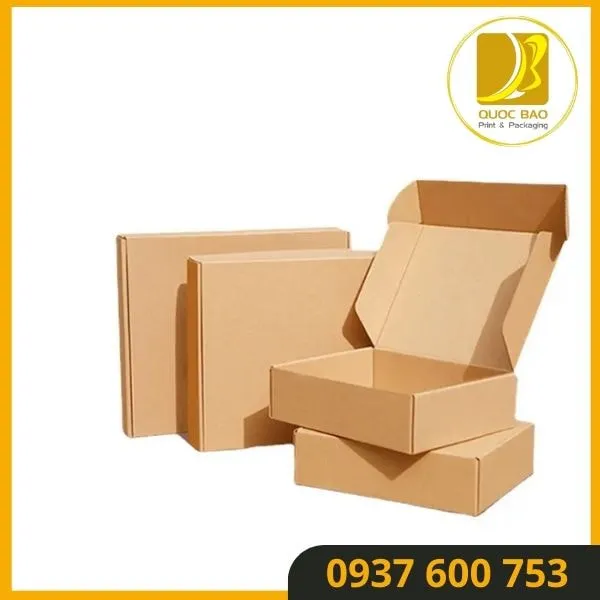 Thiết Kế Đặc Biệt - Hộp Carton Nắp Gài Quốc Bảo