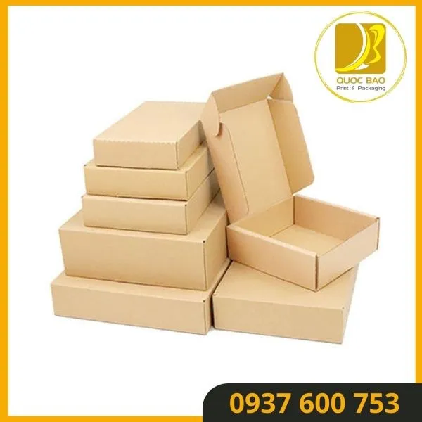 Hộp Carton đựng quà Quốc Bảo – Đón nhận yêu thương với sự an toàn tuyệt đối.