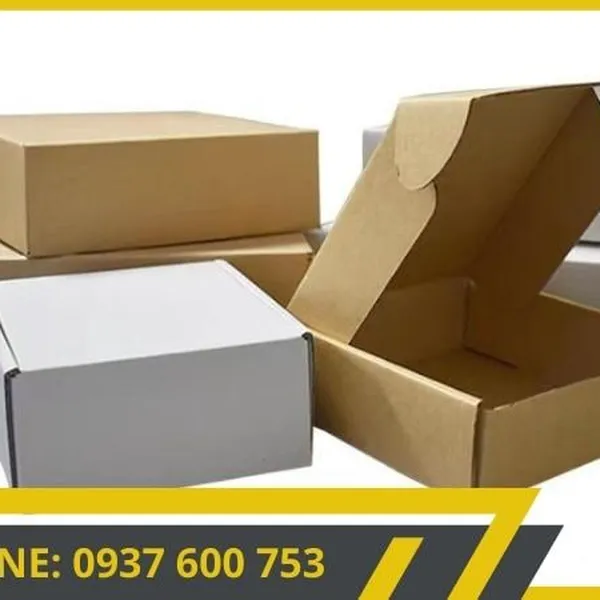 Hộp giấy carton đóng hàng sử dụng cho nhiều loại sản phẩM