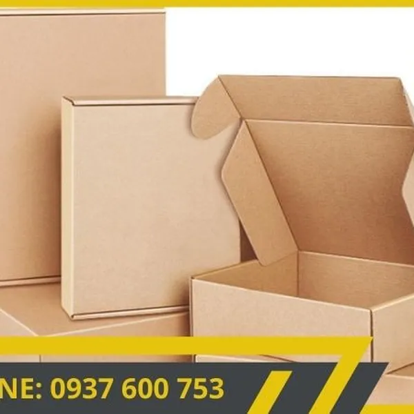Hộp giấy carton đóng hàng sử dụng cho nhiều loại sản phẩM