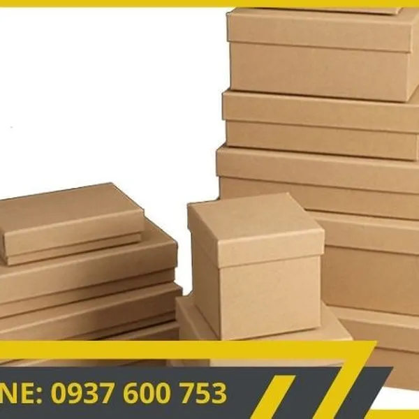 Hộp giấy carton đóng hàng sử dụng cho nhiều loại sản phẩM
