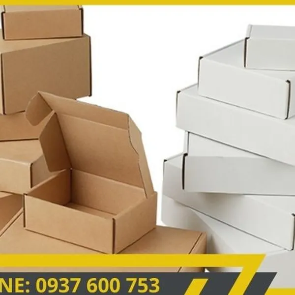 Mẫu mã đa dạng: Hộp giấy carton đóng hàng với nhiều kích thước và kiểu dáng.