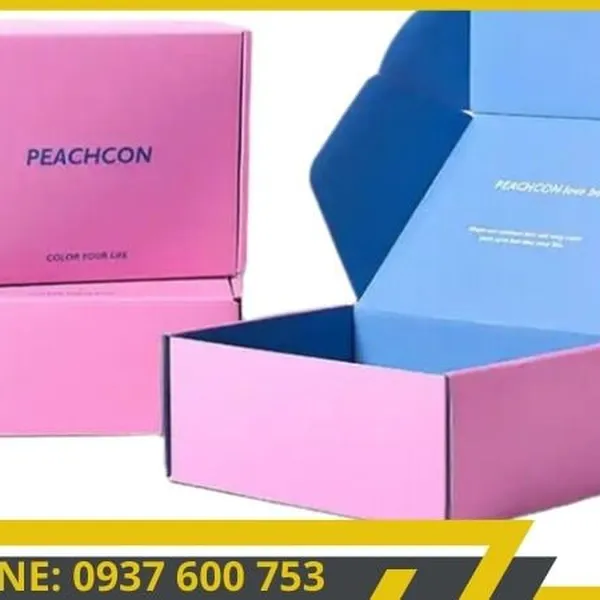 Bảo Vệ Sản Phẩm Tuyệt Vời - Hộp Carton Nắp Gài Quốc Bảo