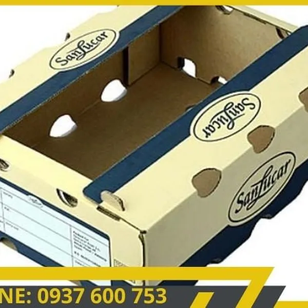 Giá Cả Cạnh Tranh: Hộp Giấy Carton Đóng Hàng từ Bao Bì Quốc Bảo