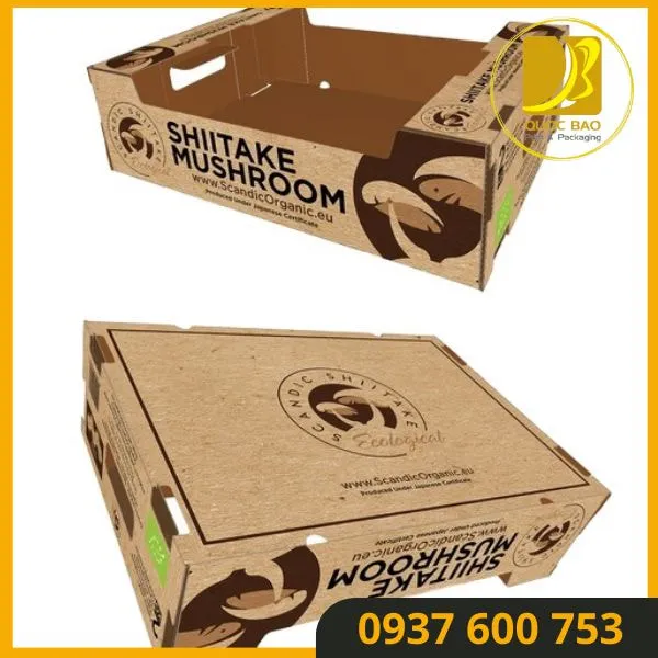 Hộp giấy carton đóng hàng cho thực phẩm có khả năng chống thấm dầu.