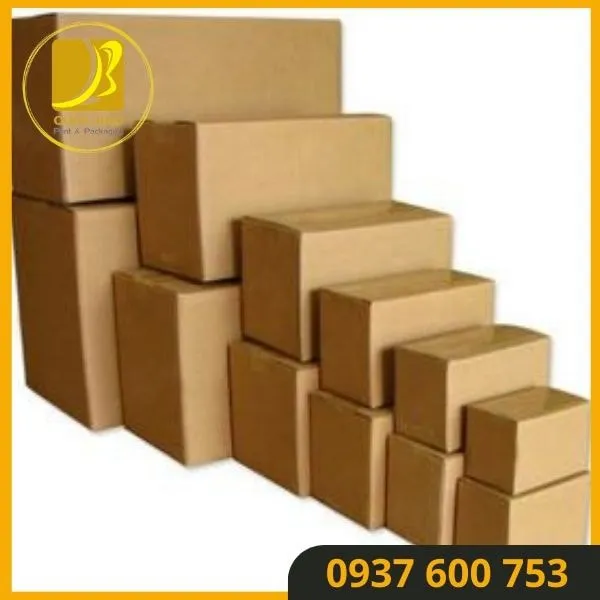 Thùng Carton Đóng Hàng An Toàn – Bảo Vệ Sản Phẩm Khỏi Hư Hỏng