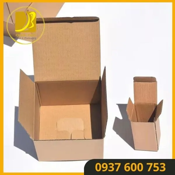 Thùng Carton Đóng Hàng Thiết Kế Chuyên Nghiệp – Nâng Cao Giá Trị Sản Phẩm