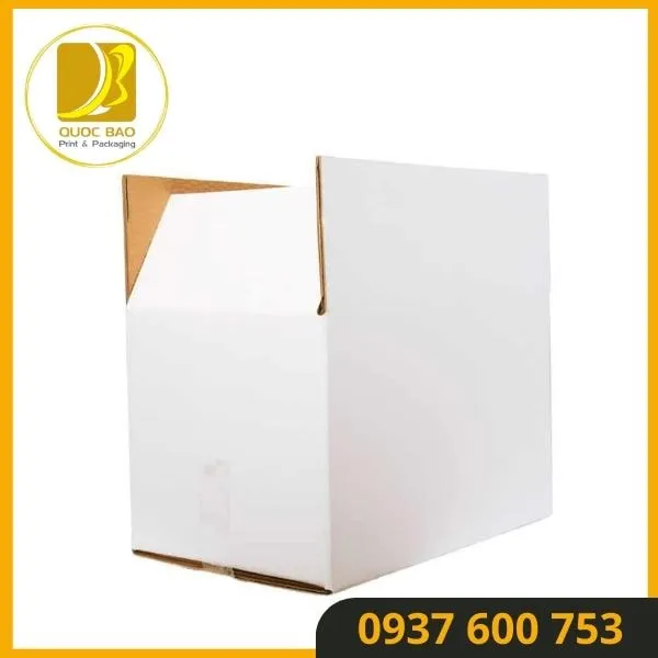 Thùng carton đóng hàng chống ẩm – Bảo vệ sản phẩm trong mọi điều kiện