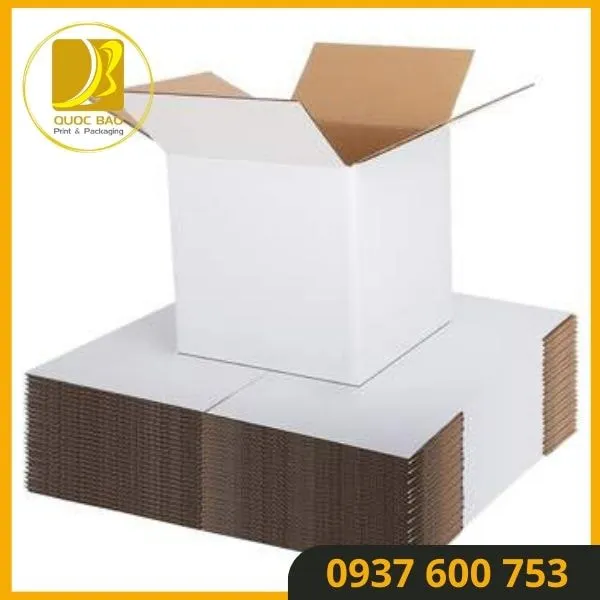 Thùng carton đóng hàng đa dạng mẫu mã – Đáp ứng mọi nhu cầu đóng gói
