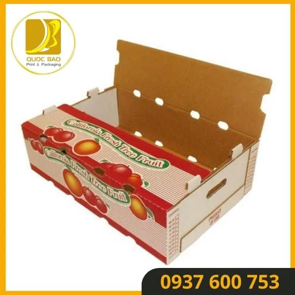 Thùng carton đóng hàng đa dạng mẫu mã – Đáp ứng mọi nhu cầu đóng gói