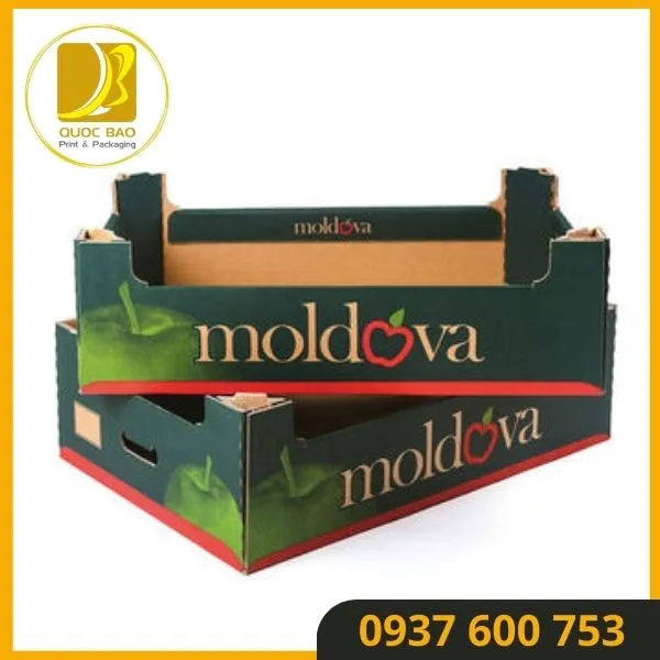 Thùng Carton Đóng Hàng Đựng Thực Phẩm – Bảo Vệ Chất Lượng Sản Phẩm Đến Tay Người Tiêu Dùng