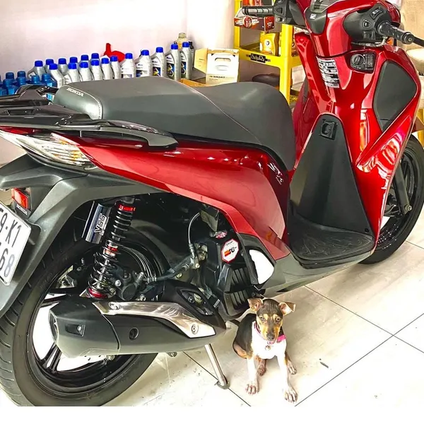 Dung Dịch Phủ Ceramic 10H Chuyên Nghiệp Cho Xe Máy Ô Tô Carchem 50ml Nhập Khẩu Từ Anh