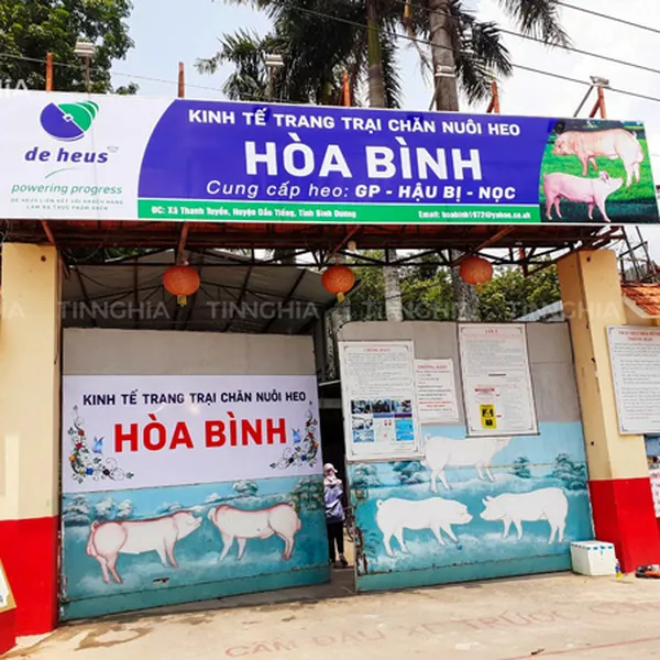 LÀM BẢNG TÔN DÁN DECAL GIÁ RẺ | BẢNG TÔN SÓNG, TÔN CHỮ NỔI