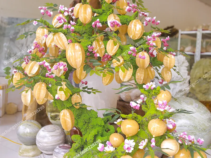 Top 1 Địa Chỉ Cung Cấp Cây Khế Đá Ngọc Hoàng Long Chất Lượng