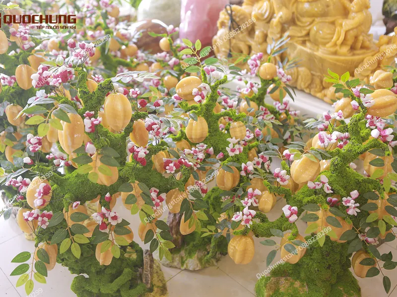 Cách Chọn Cây Khế, Cây Đào Ngọc Hoàng Long Hợp Mệnh, Hợp Tuổi