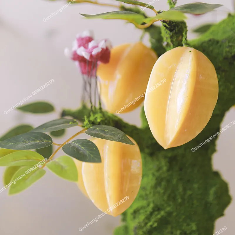 Cây Khế Đá Ngọc Hoàng Long 29 Quả– Biểu Tượng Sung Túc & Lộc Vàng Dồi Dào