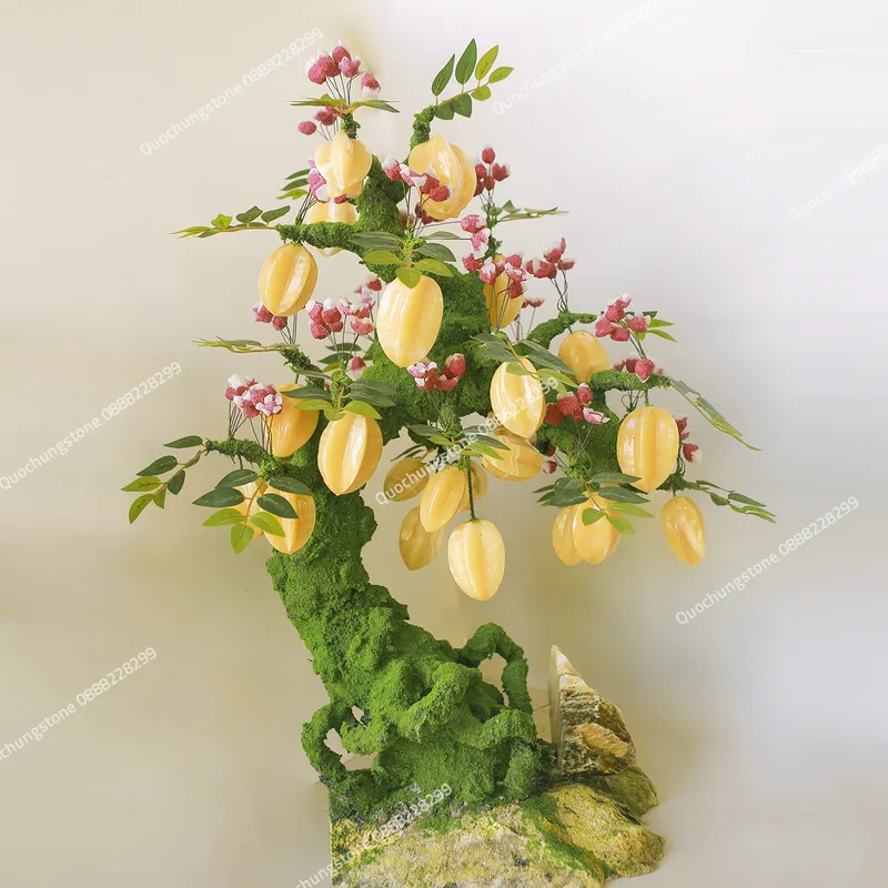 Cây Khế Đá Ngọc Hoàng Long 29 Quả– Biểu Tượng Sung Túc & Lộc Vàng Dồi Dào