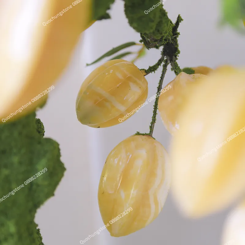 Cây Khế Đá Ngọc Hoàng Long 29 Quả– Biểu Tượng Sung Túc & Lộc Vàng Dồi Dào