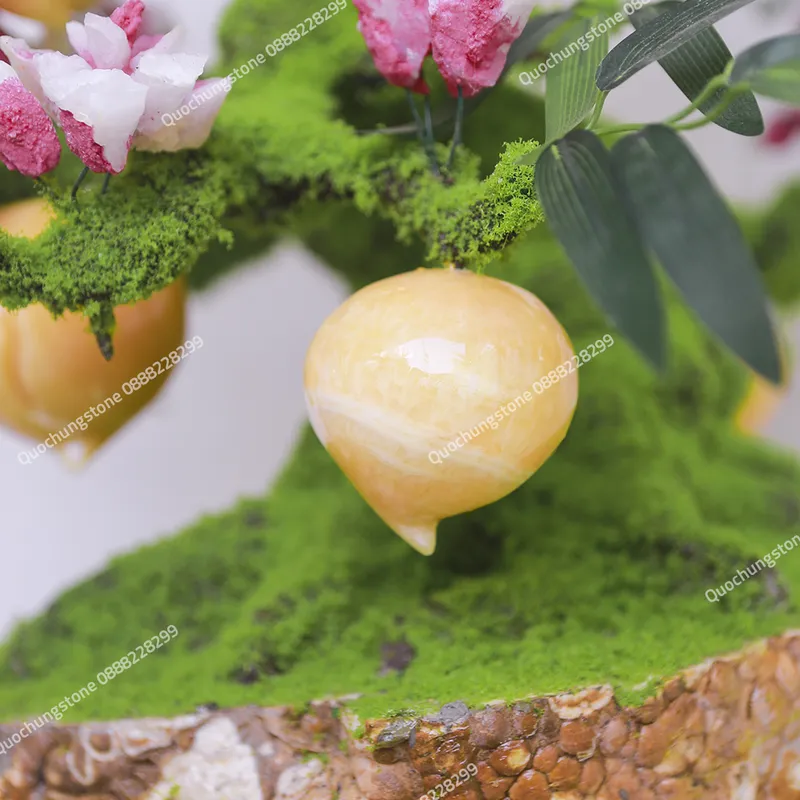 Cây Đào Ngọc Hoàng Long Cao Cấp 38 quả dáng Bonsai