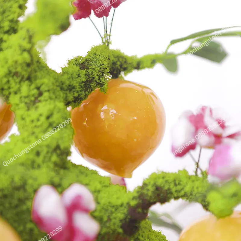 Cây Đào Ngọc Hoàng Long – Biểu Tượng Trường Thọ & Phú Quý