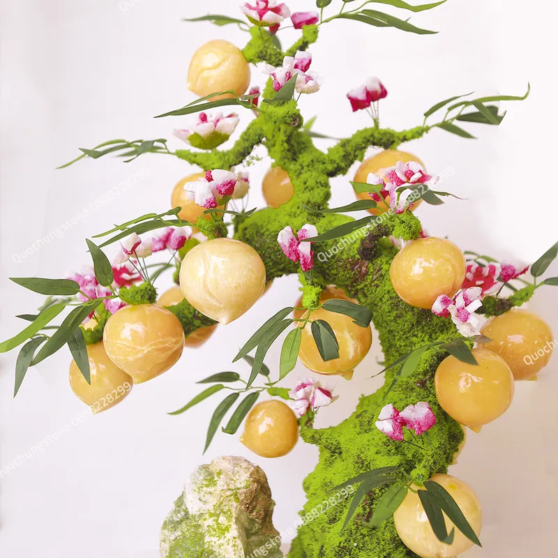 Cây Đào Ngọc Hoàng Long – Biểu Tượng Trường Thọ & Phú Quý