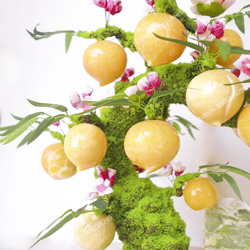 Cây Đào Ngọc Hoàng Long – Biểu Tượng Trường Thọ & Phú Quý