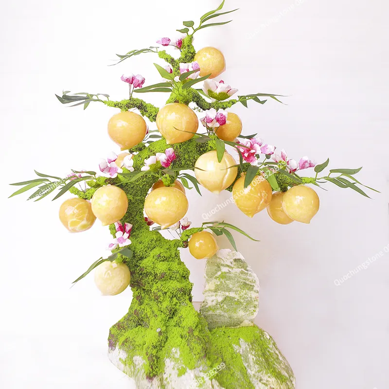 Cây Đào Ngọc Hoàng Long – Biểu Tượng Trường Thọ & Phú Quý