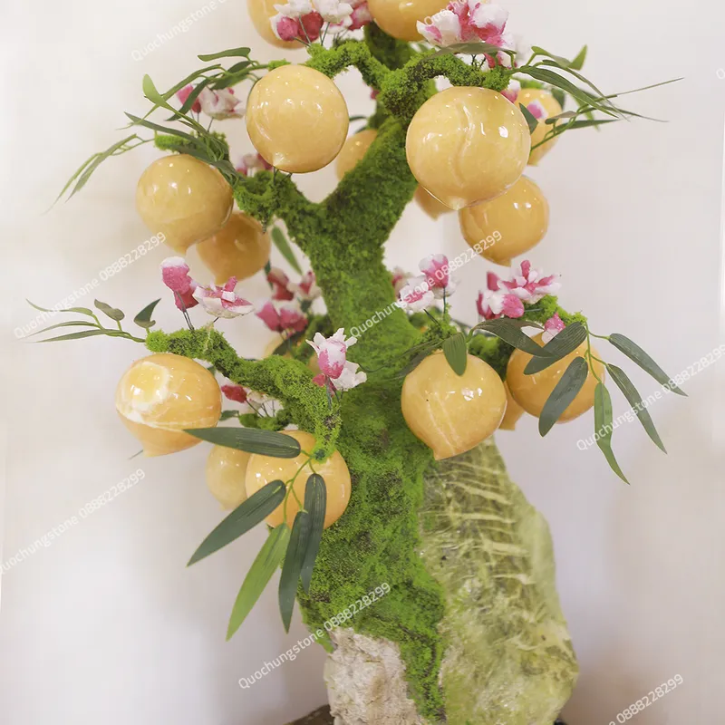 Cây Đào Ngọc Hoàng Long Cao Cấp 18 Quả