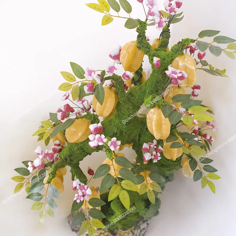 Cây Khế Đá Ngọc Hoàng Long Tự Nhiên  29 Quả