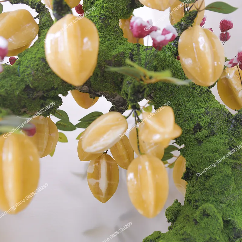 Cây Khế Đá Ngọc Hoàng Long Tự Nhiên  29 Quả