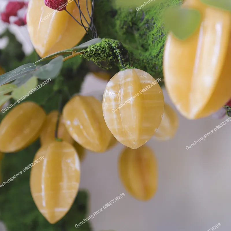 Cây Khế Đá Ngọc Hoàng Long Tự Nhiên  29 Quả