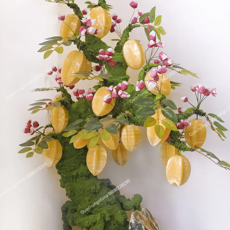 Cây Khế Đá Ngọc Hoàng Long Tự Nhiên  29 Quả