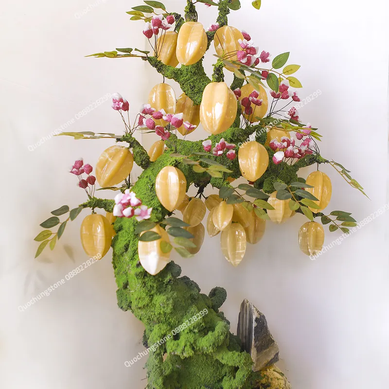 Cây Khế Đá Ngọc Hoàng Long Tự Nhiên  29 Quả