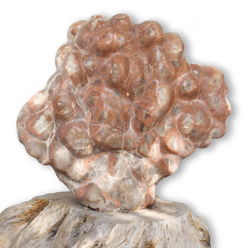 Cây Đá Trấn Trạch, Đá Canxit Đỏ