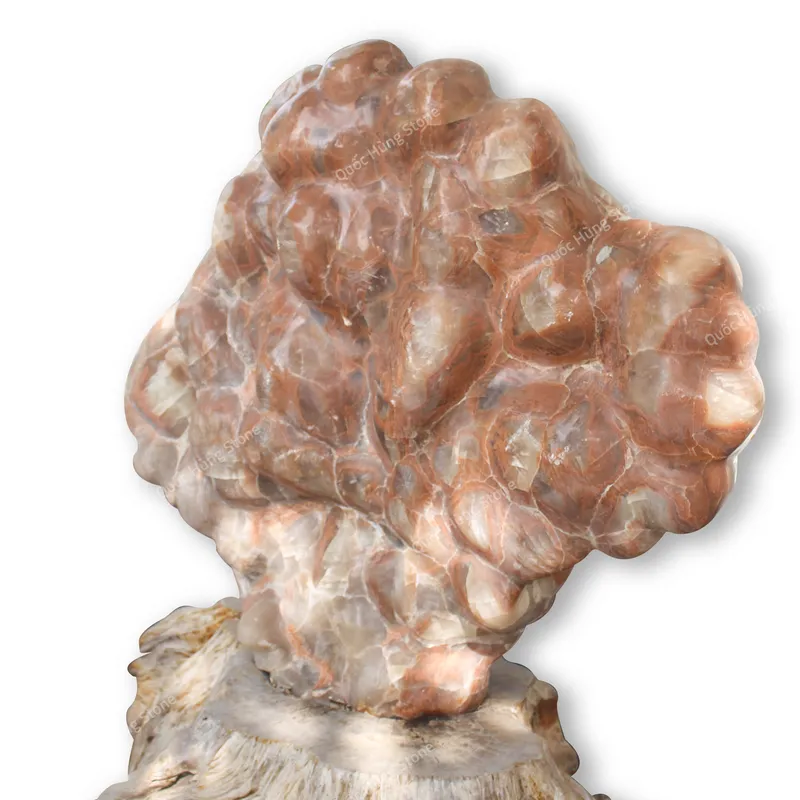 Cây Đá Trấn Trạch, Đá Canxit Đỏ