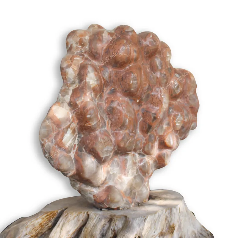 Cây Đá Trấn Trạch, Đá Canxit Đỏ