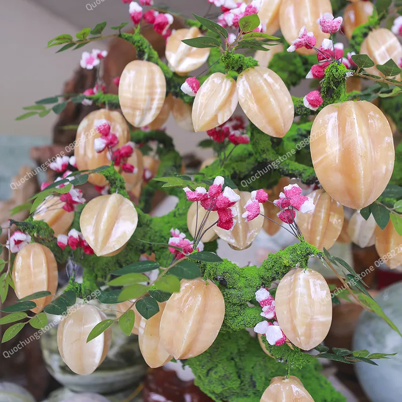 Cây Khế Ngọc Hoàng Long – Lộc Vàng Sung Túc