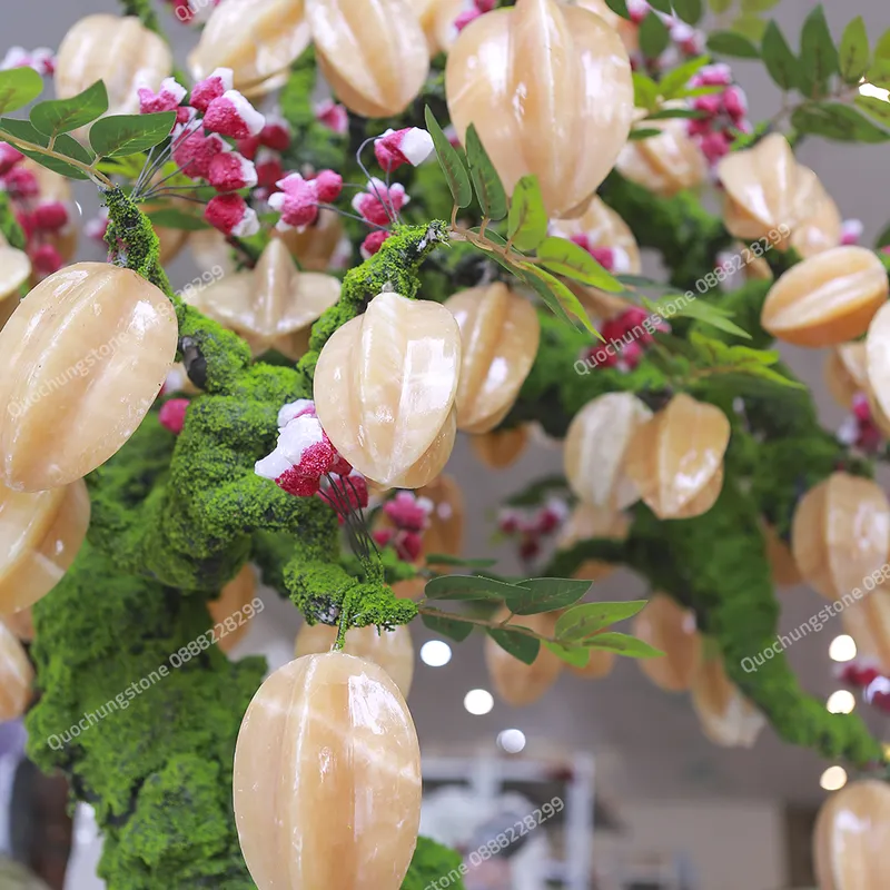 Cây Khế Ngọc Hoàng Long – Lộc Vàng Sung Túc