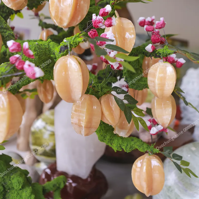 Cây Khế Ngọc Hoàng Long – Lộc Vàng Sung Túc