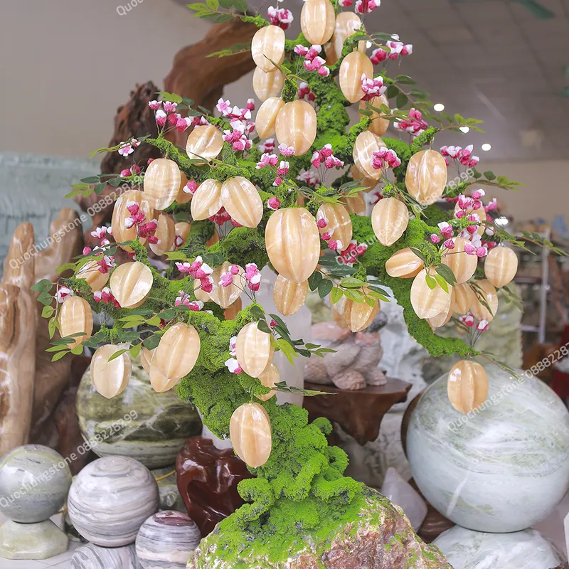 Cây Khế Ngọc Hoàng Long – Lộc Vàng Sung Túc