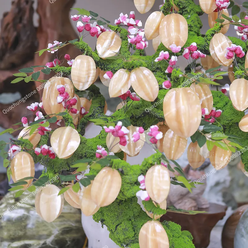 Cây Khế Ngọc Hoàng Long – Lộc Vàng Sung Túc